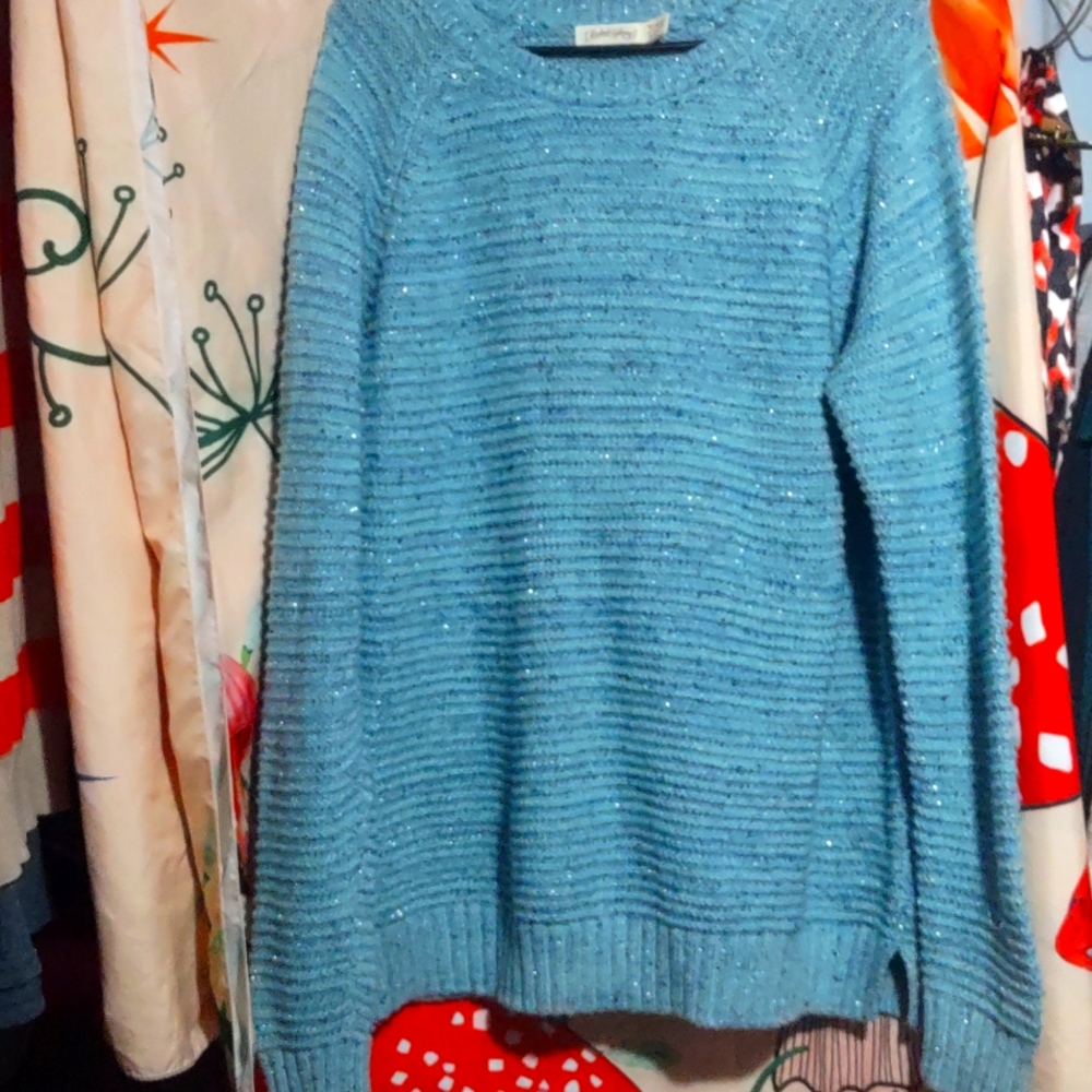 Faded glory blue sweater...